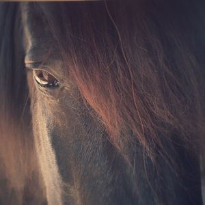 Meet your Posher, Peggy